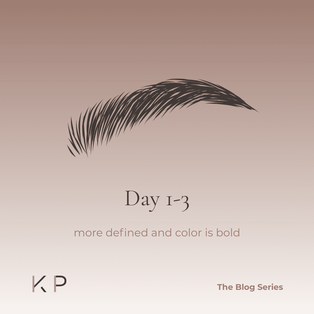 Fresh lip blush results during days 1 to 3 showing bold color, slight swelling, and matte lipstick effect 