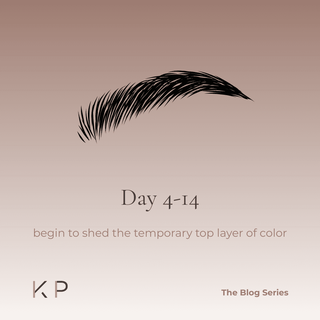 Lip blush healing days 4-14 showing mild flaking and lighter patches as color begins to soften