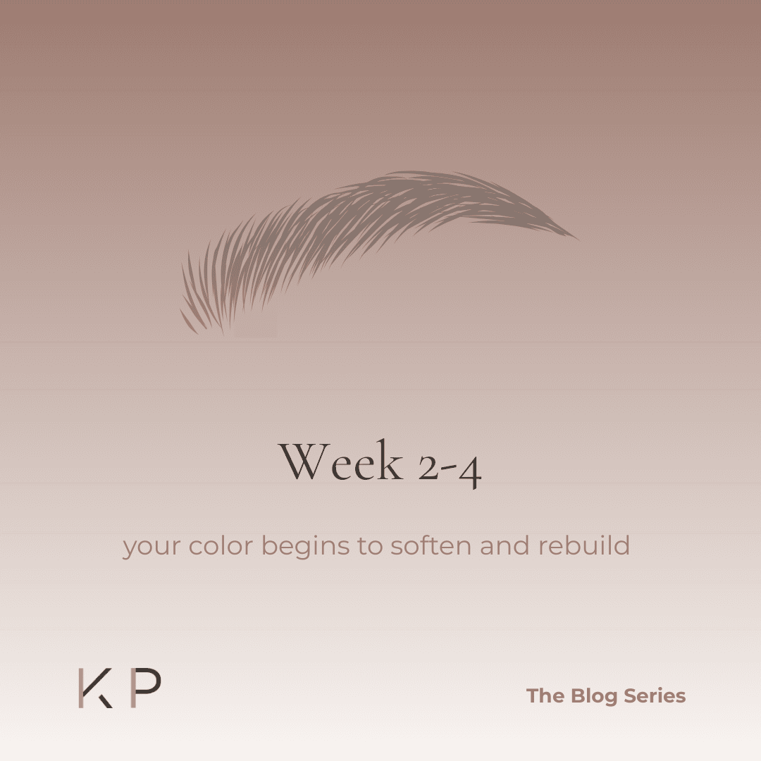 Lip blush week 2 to 14 showing lips healing evenly as the soft natural color begins to settle 