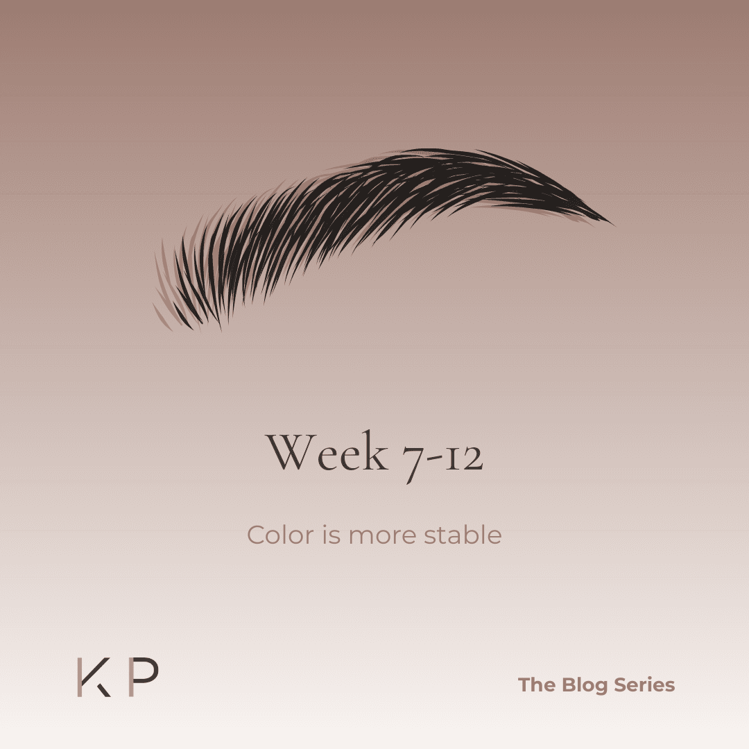 Lip Blush week 7 to 12 showing fully healed lips with even color and touch-up ready results.