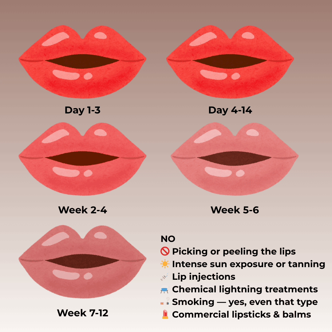 Infographic showing the week-by-week Lip blush healing process and aftercare timeline from Kyla Paris