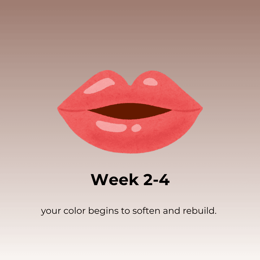 Lip blush week 2 to 14 showing lips healing evenly as the soft natural color begins to settle