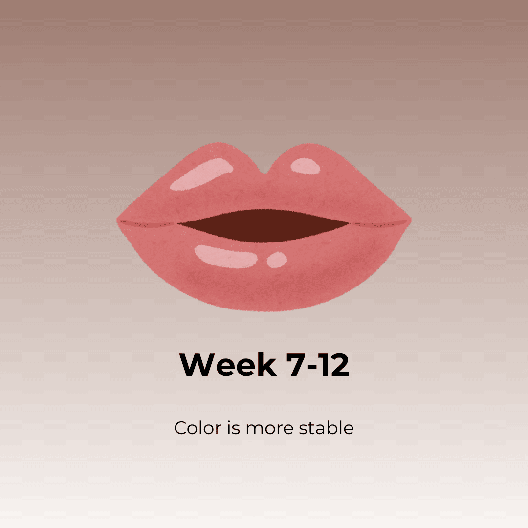 Lip Blush week 7 to 12 showing fully healed lips with even color and touch-up ready results.